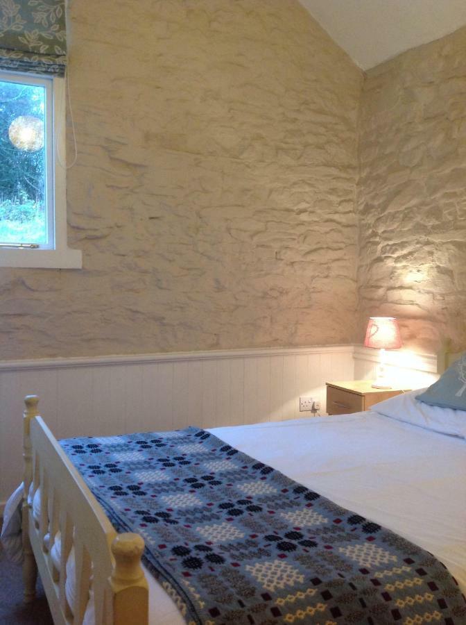 Cwmtwrch Cottage Carmarthen Exterior photo